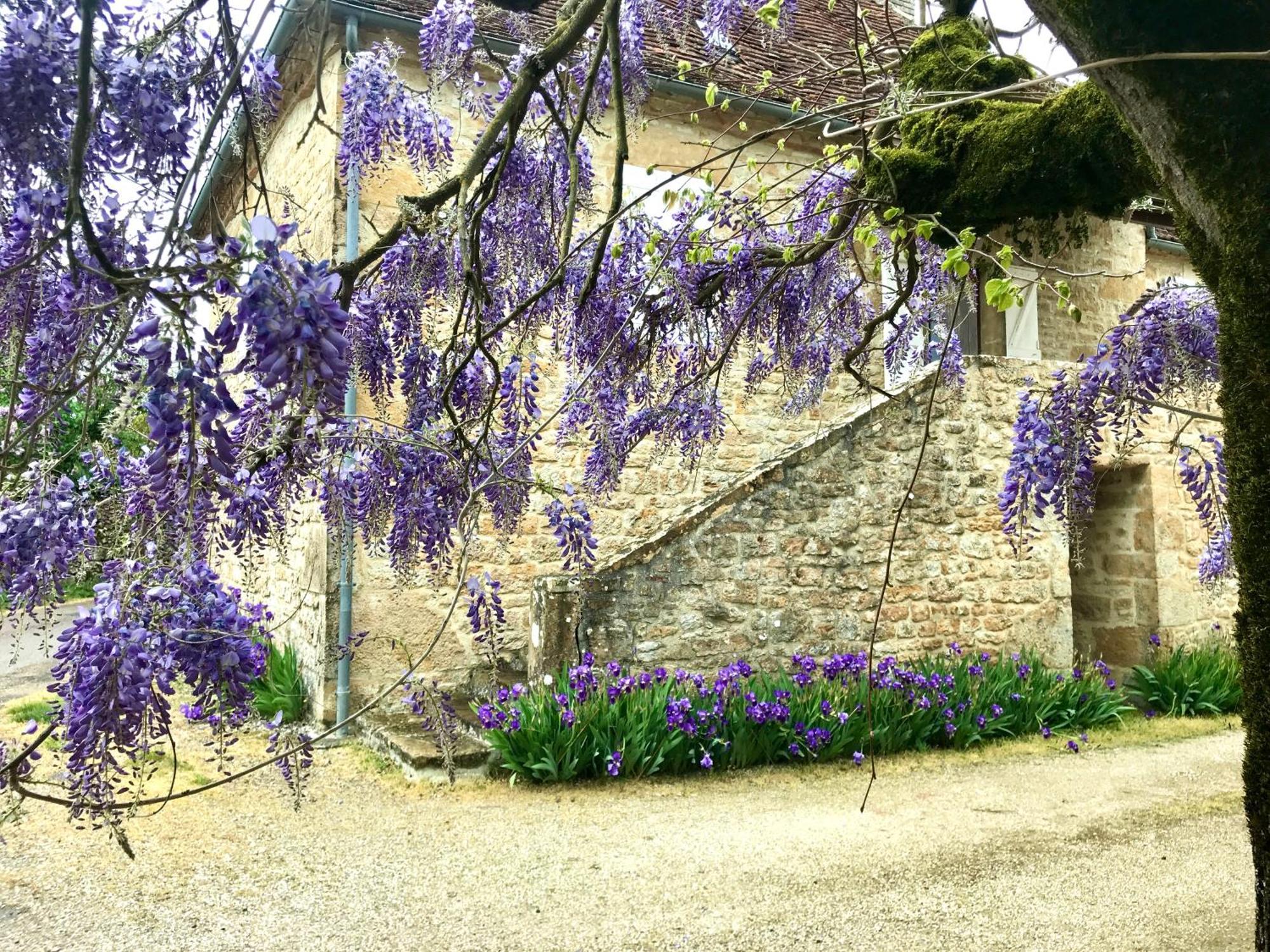 Manoir De Rieuzal Panzió Loubressac Kültér fotó