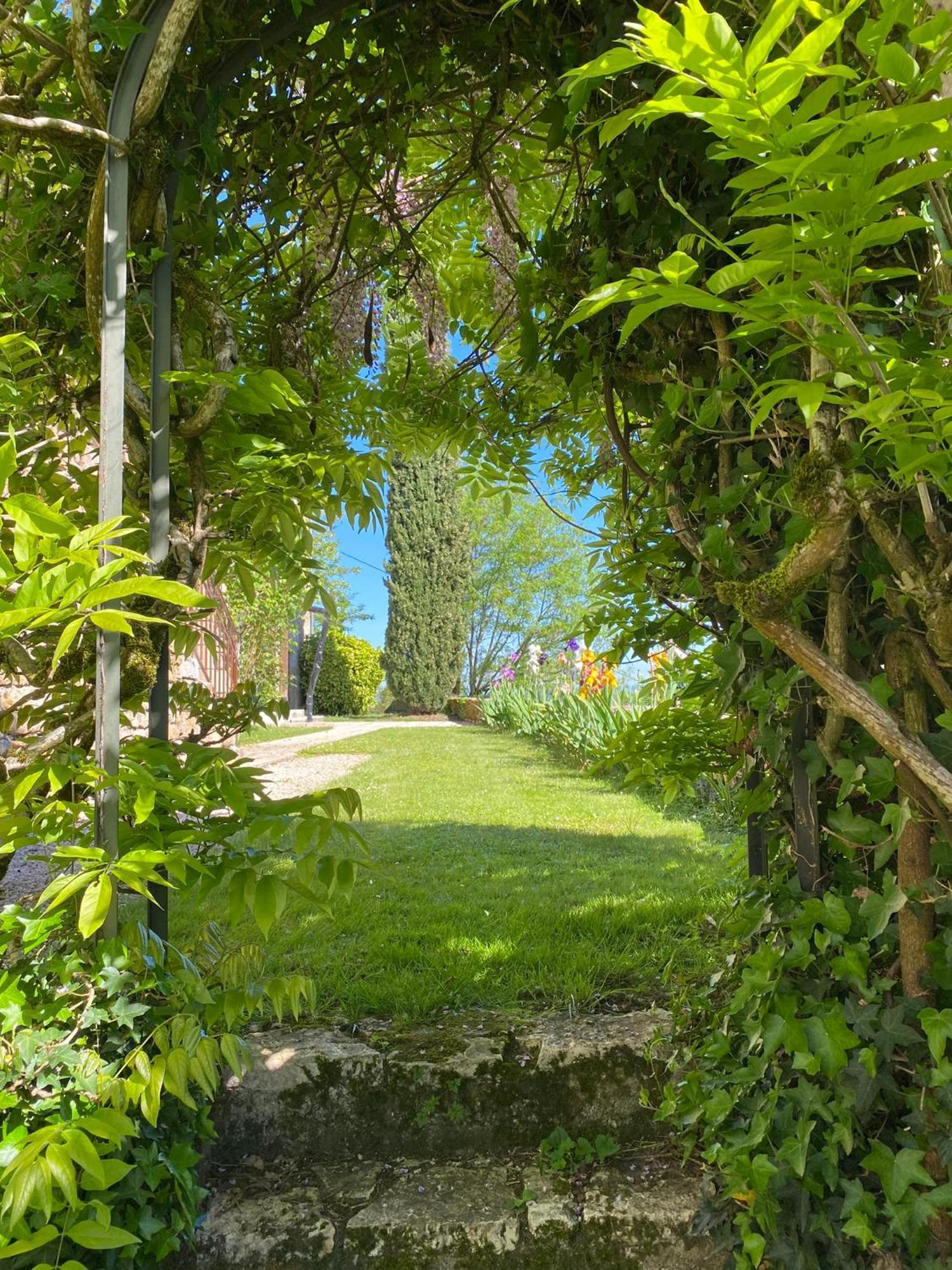 Manoir De Rieuzal Panzió Loubressac Kültér fotó