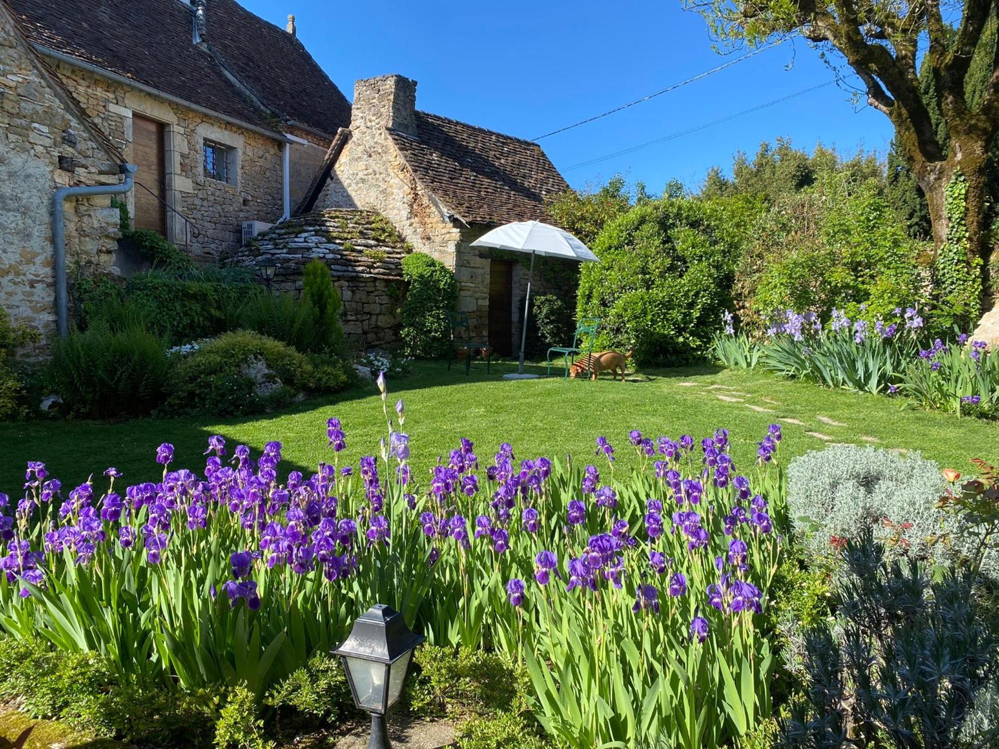 Manoir De Rieuzal Panzió Loubressac Kültér fotó