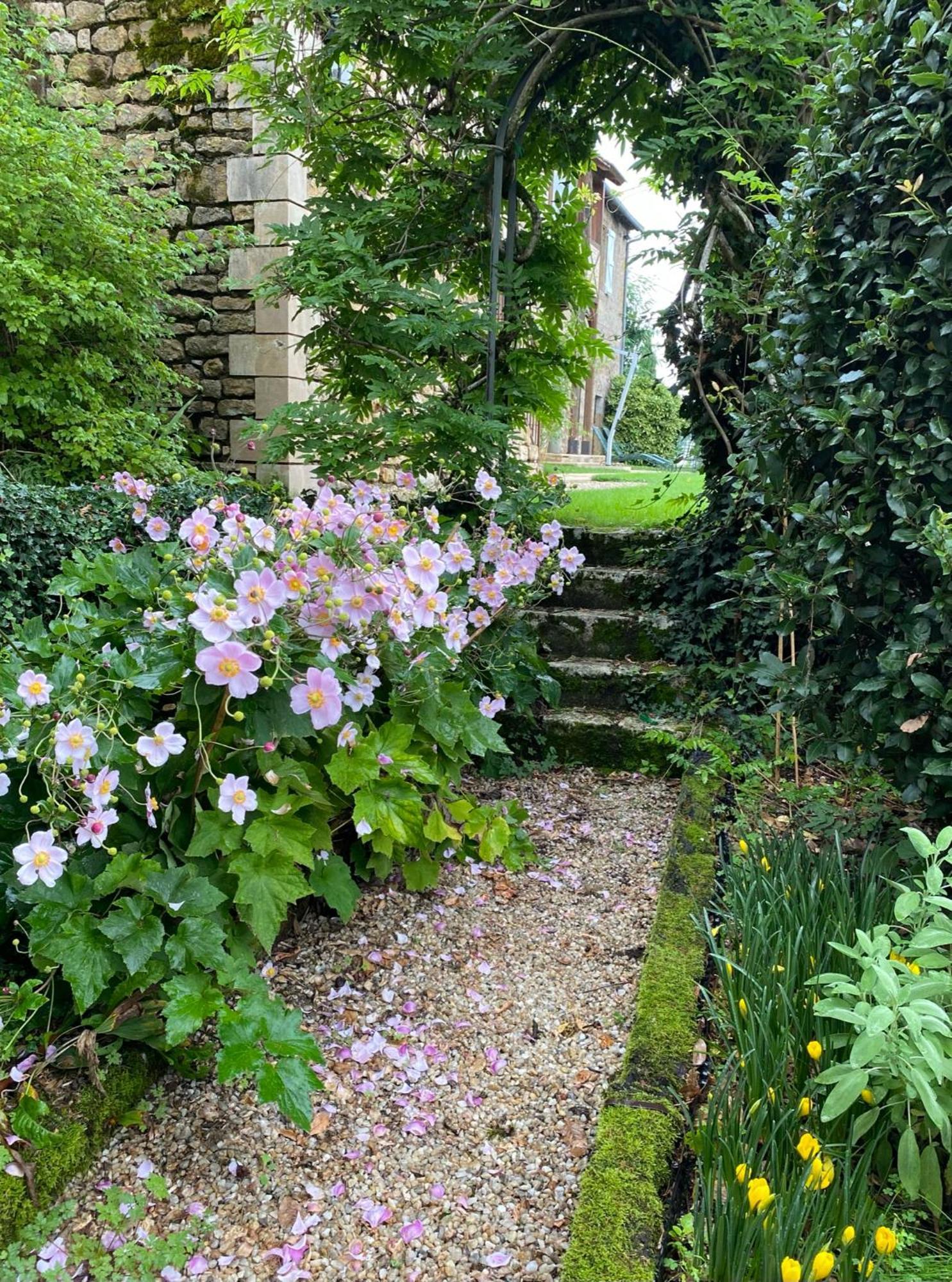 Manoir De Rieuzal Panzió Loubressac Kültér fotó