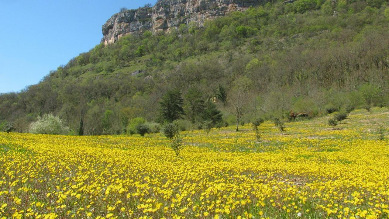 Manoir De Rieuzal Panzió Loubressac Kültér fotó