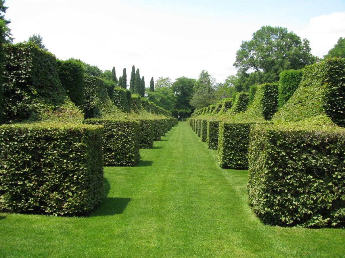 Manoir De Rieuzal Panzió Loubressac Kültér fotó