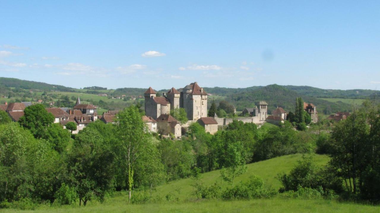 Manoir De Rieuzal Panzió Loubressac Kültér fotó