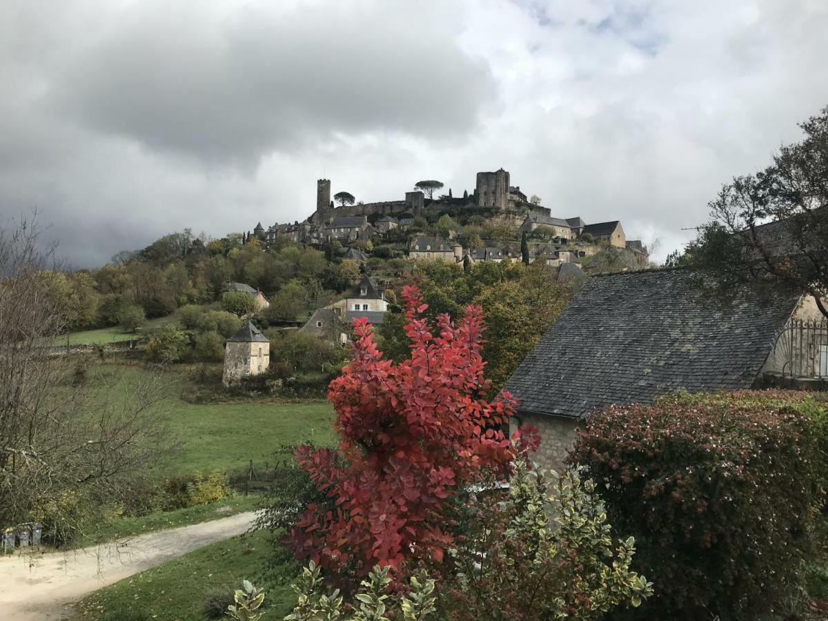 Manoir De Rieuzal Panzió Loubressac Kültér fotó