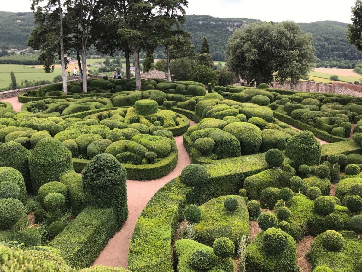 Manoir De Rieuzal Panzió Loubressac Kültér fotó